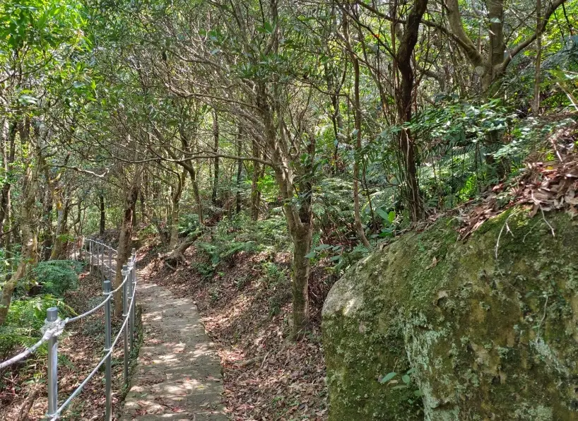 大崙頭尾山停車 大崙頭尾山停車