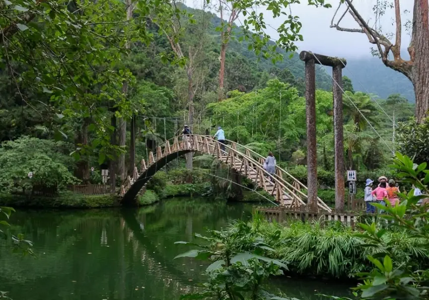 溪頭森林遊樂區