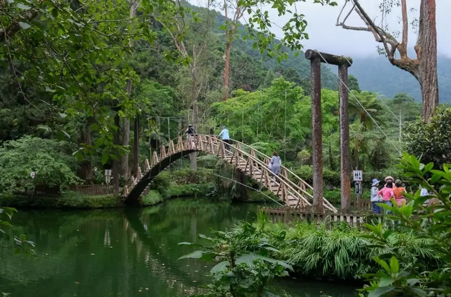 台南到溪頭一日遊攻略：交通、景點、美食完整指南
