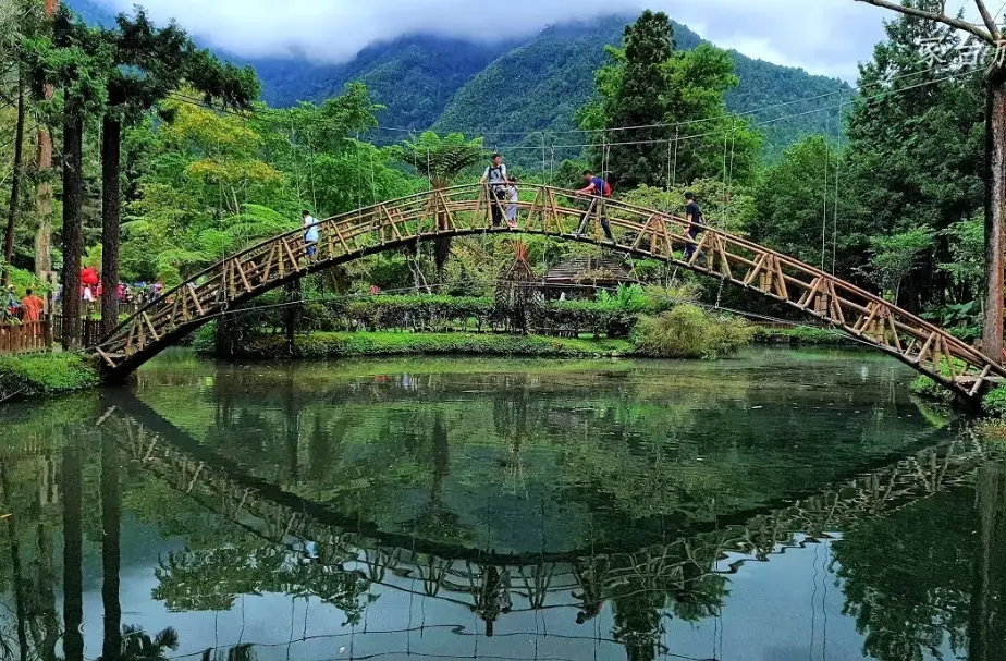台南出發溪頭旅遊 台南出發溪頭旅遊