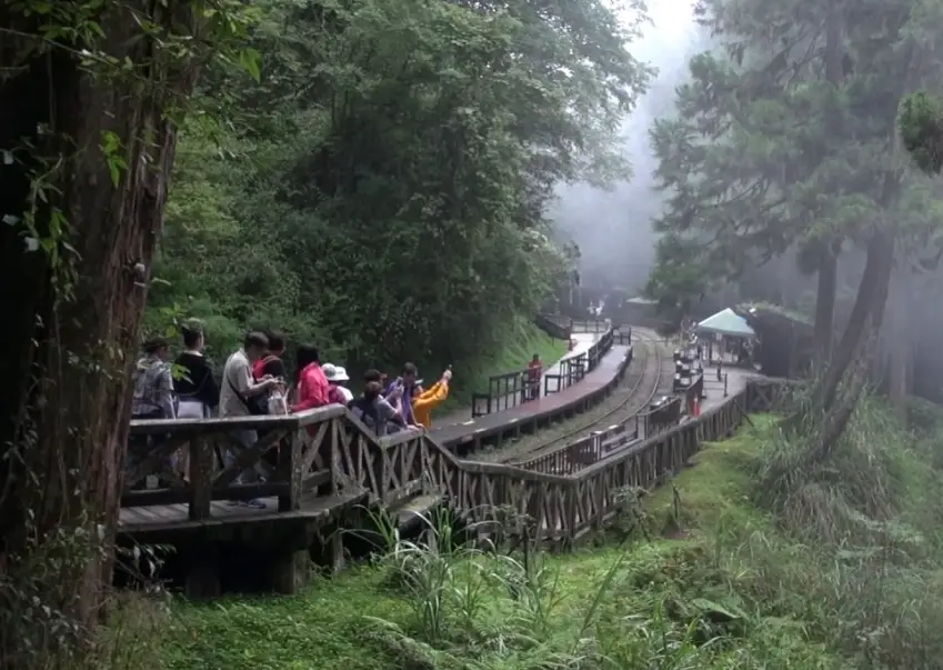 台南出發溪頭旅遊 台南出發溪頭旅遊
