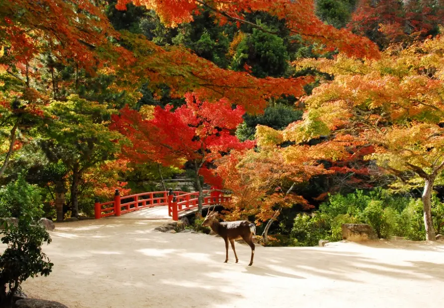 關子嶺老街餐廳