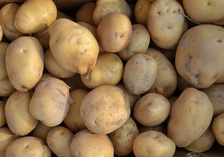 馬鈴薯健康吃法