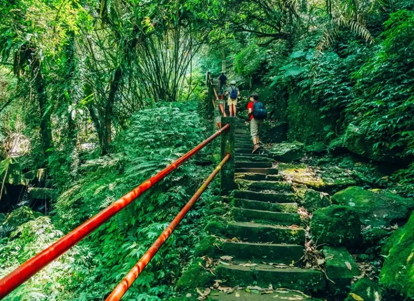 銀河洞越嶺步道 銀河洞越嶺步道
