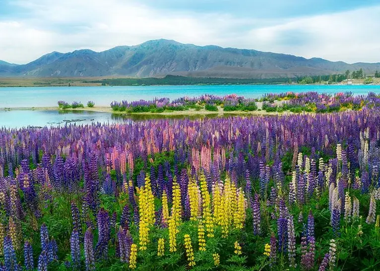 皇后鎮滑雪季節 皇后鎮滑雪季節