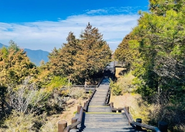 觀霧國家森林遊樂區 咖啡 觀霧國家森林遊樂區 咖啡