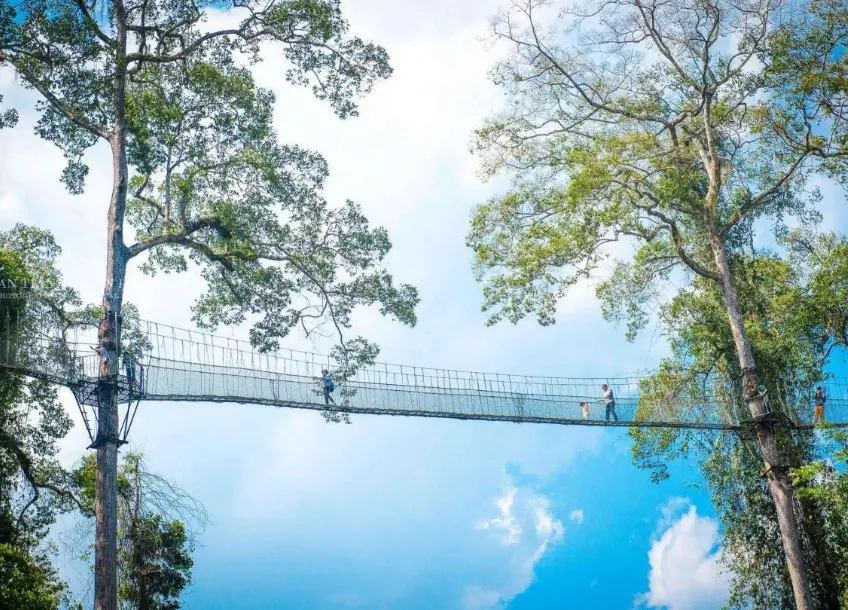 台南到溪頭交通 台南到溪頭交通