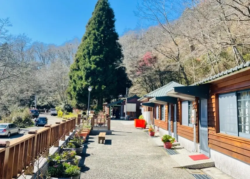 觀霧國家森林遊樂區