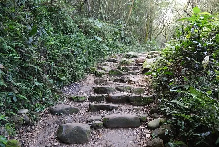 關子嶺大凍山步道 關子嶺大凍山步道