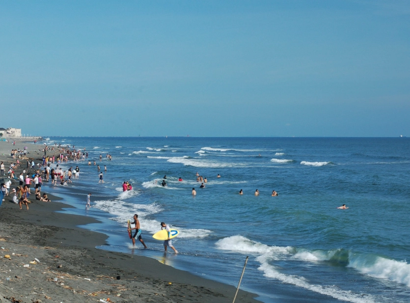 旗津交通 旗津交通