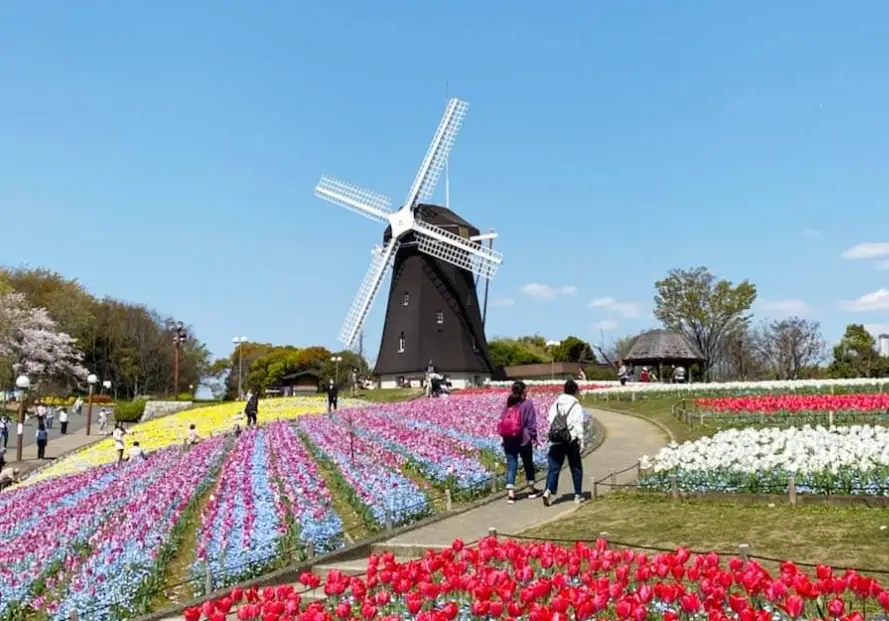 花博好玩景點 花博好玩景點