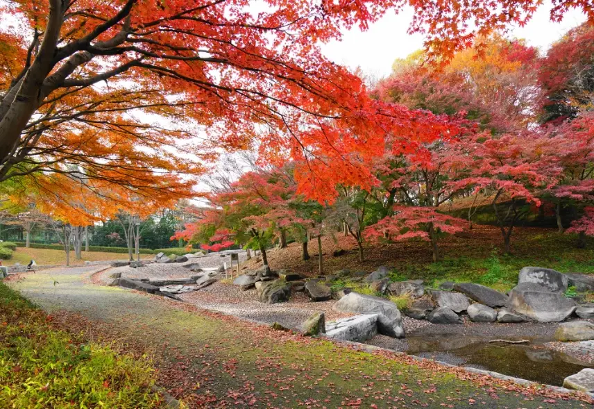 關子嶺隱藏景點