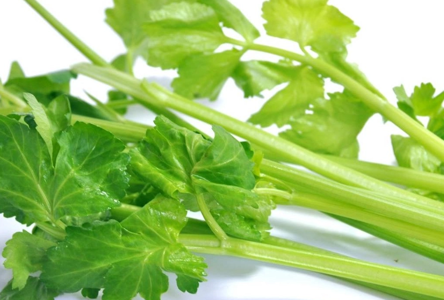 芹菜葉料理