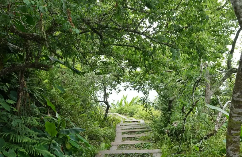 雞籠山登山步道 雞籠山登山步道