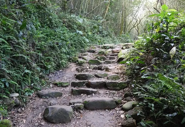 大凍山登山路線 大凍山登山路線