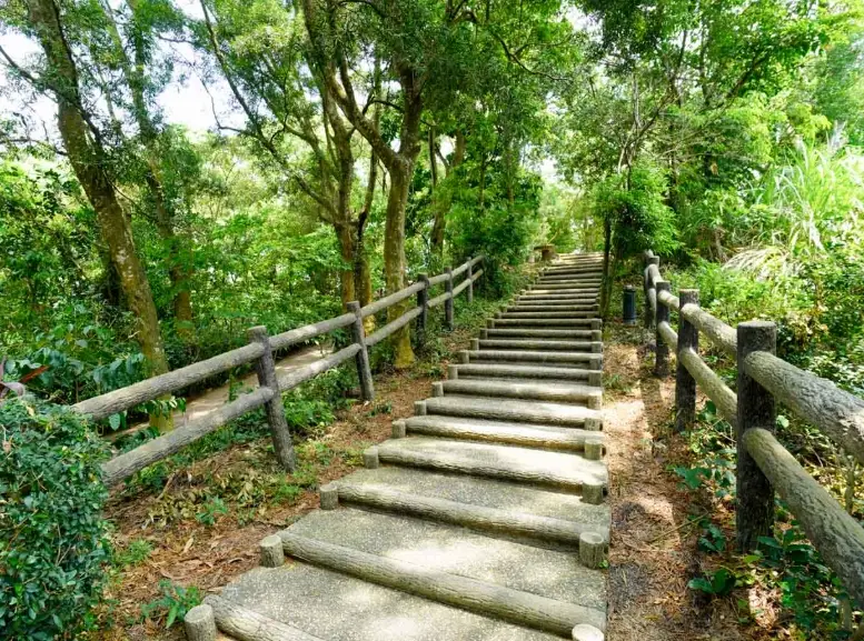 雲林步道推薦