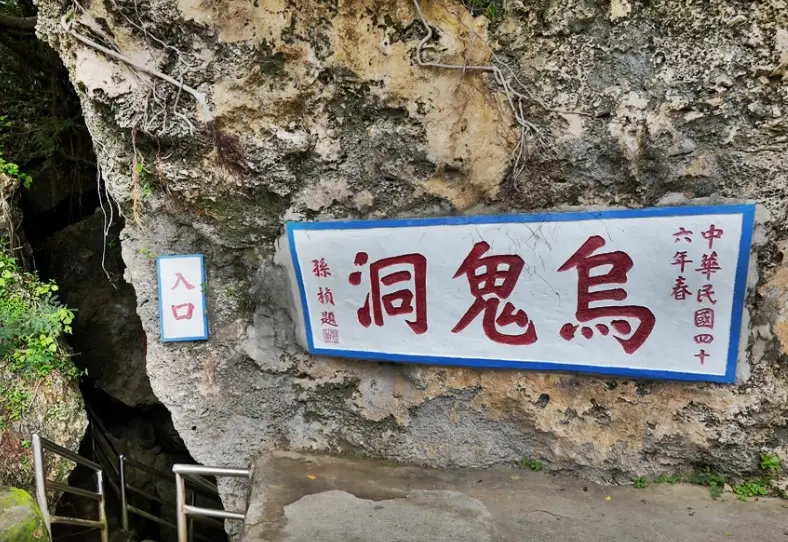 小琉球海龜 小琉球海龜