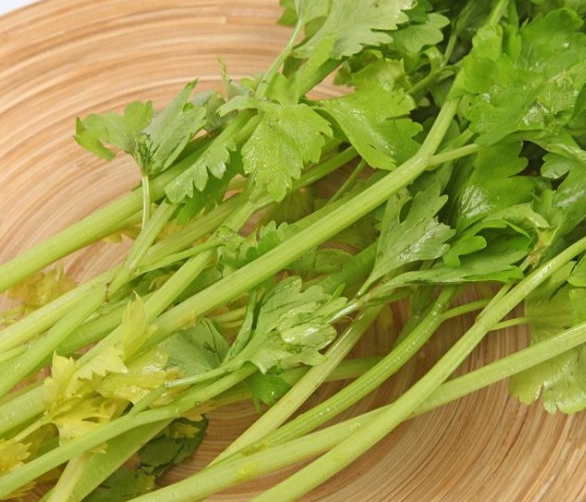 芹菜葉營養