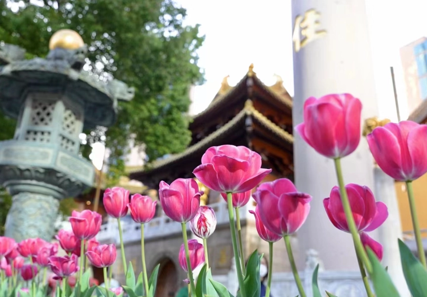 花博旅遊攻略 花博旅遊攻略