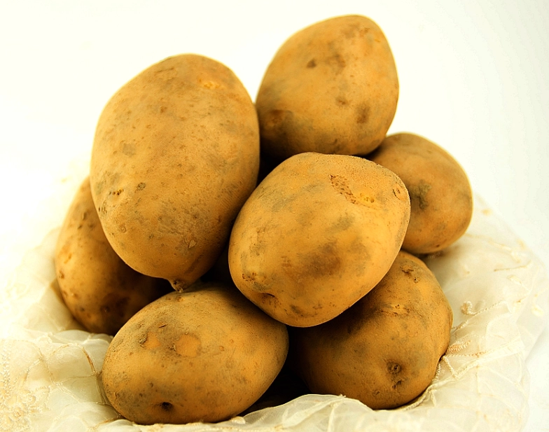 炸薯条健康 炸薯条健康