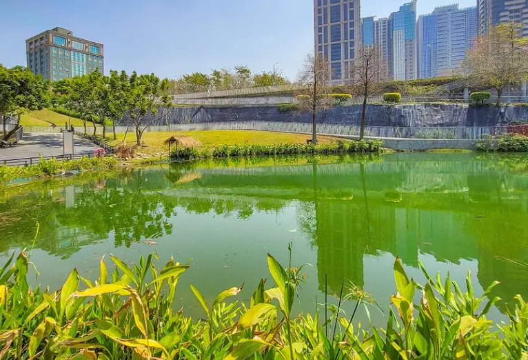 西屯休息 西屯休息