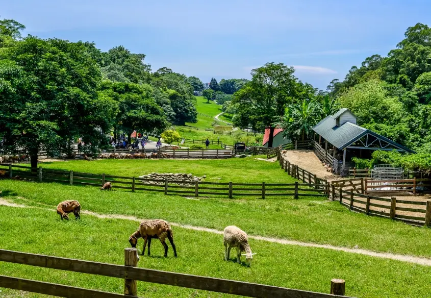 苗栗必去景點 苗栗必去景點