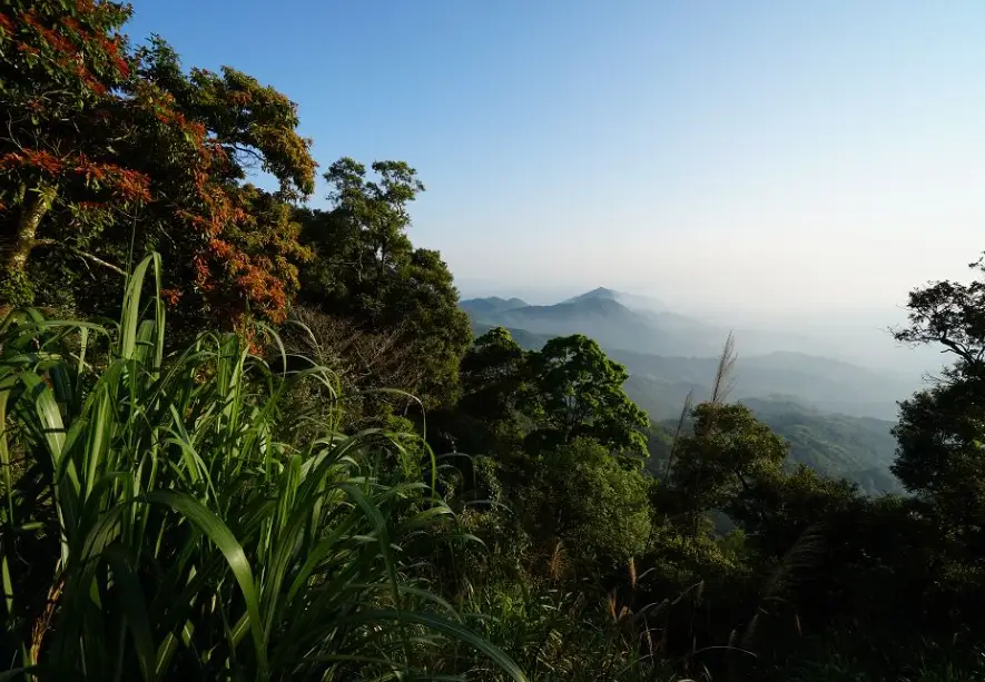 大凍山登山路線 大凍山登山路線