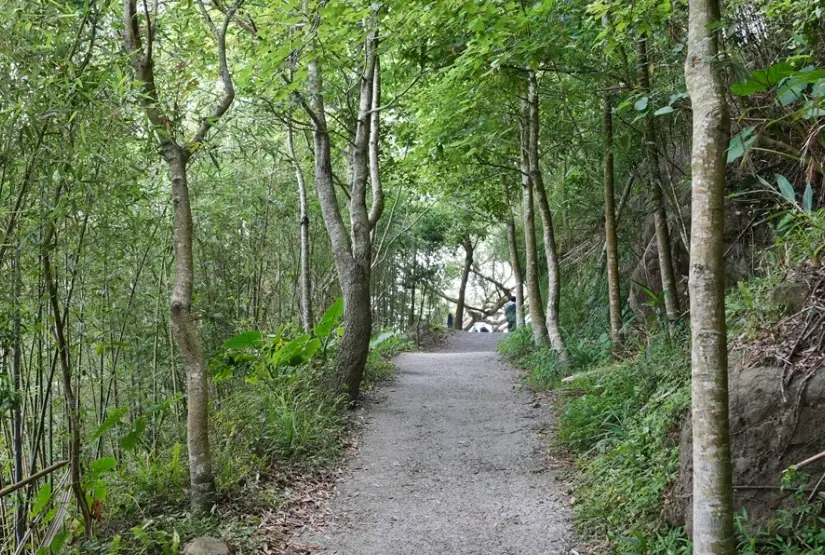 關子嶺雞籠山 關子嶺雞籠山