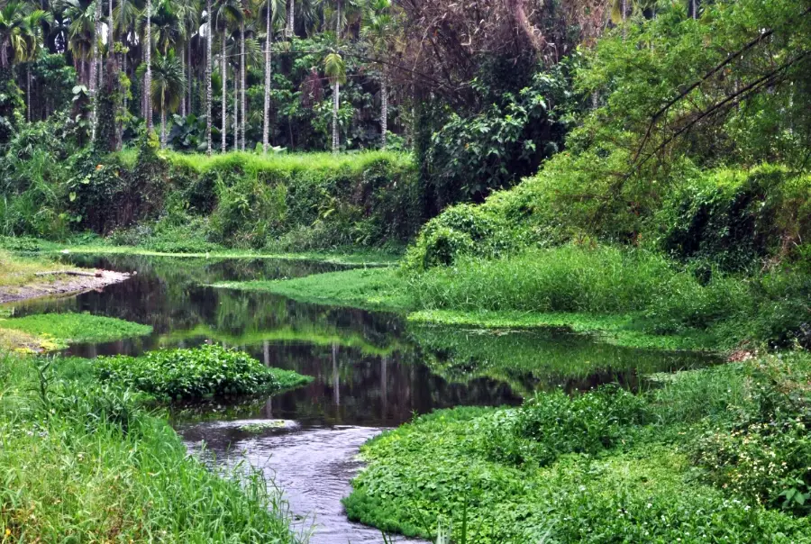 屏東湧泉景點 屏東湧泉景點