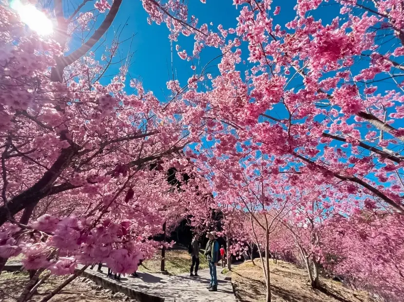 上高地交通 上高地交通
