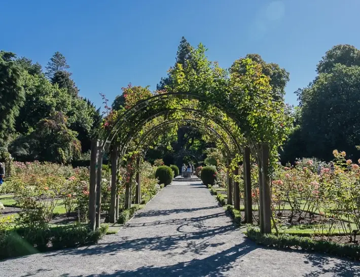 基督城自由行 基督城自由行