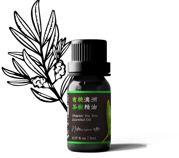 傷口 護理 自然療法 傷口 護理 自然療法