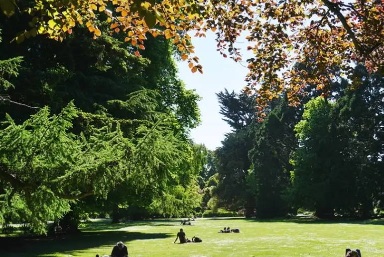 基督城自由行 基督城自由行