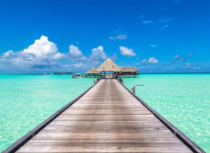 馬爾地夫蜜月 馬爾地夫蜜月