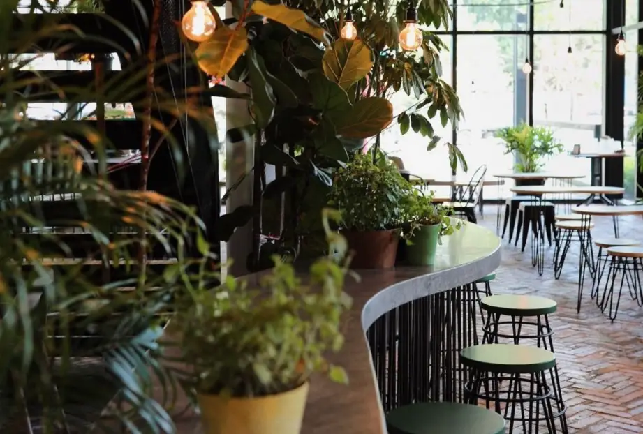 首爾素食美食 首爾素食美食