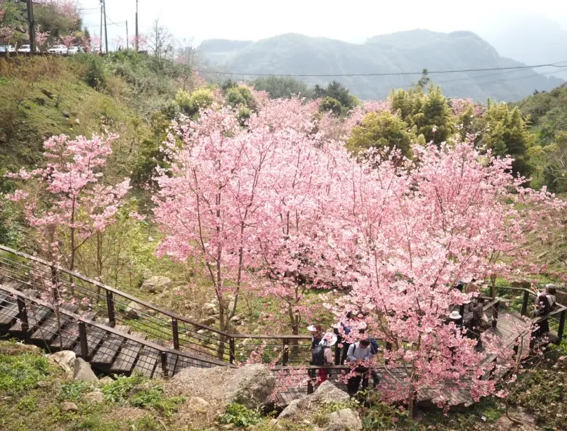 台灣四季旅遊 台灣四季旅遊