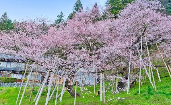 上高地交通 上高地交通