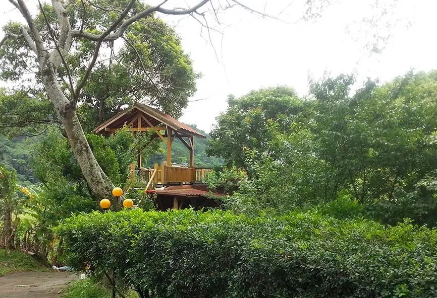 石濤園民宿評價 石濤園民宿評價