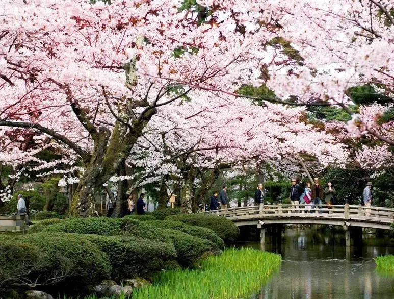 上高地交通 上高地交通