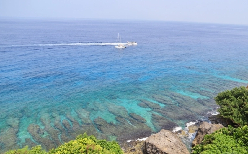 小琉球海龜 小琉球海龜