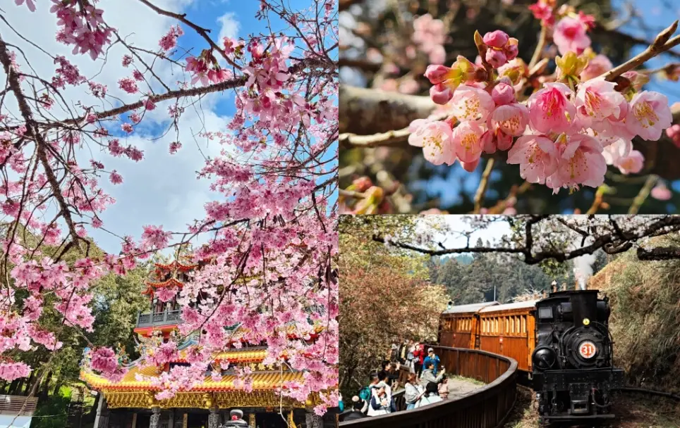 台灣最佳旅遊時間 台灣最佳旅遊時間