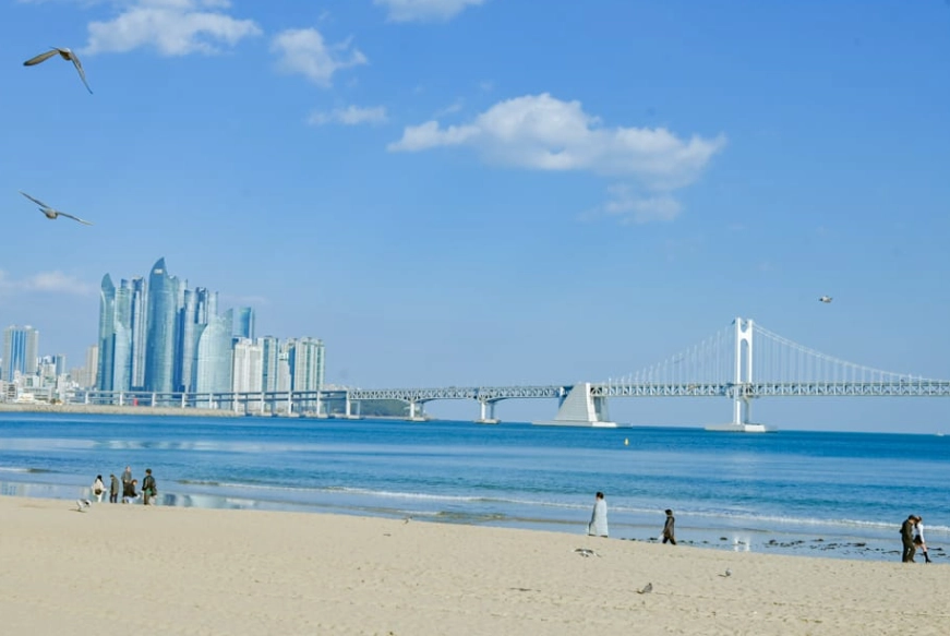 廣安大橋夜景 廣安大橋夜景