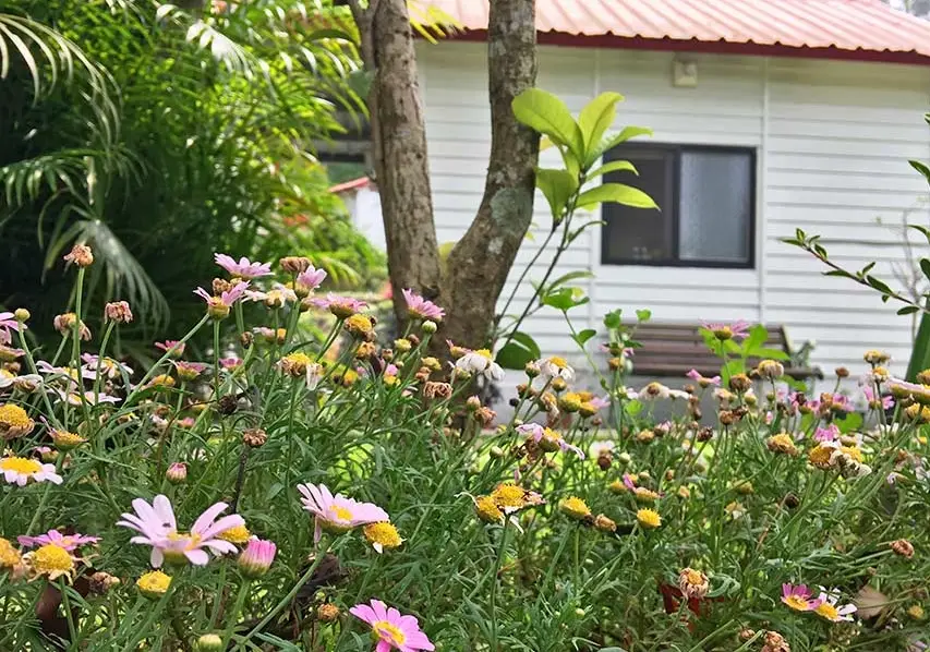 三義木雕民宿 三義木雕民宿