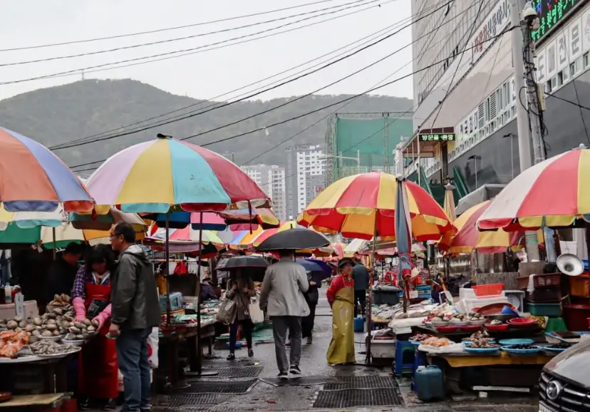 首爾釜山自由行攻略