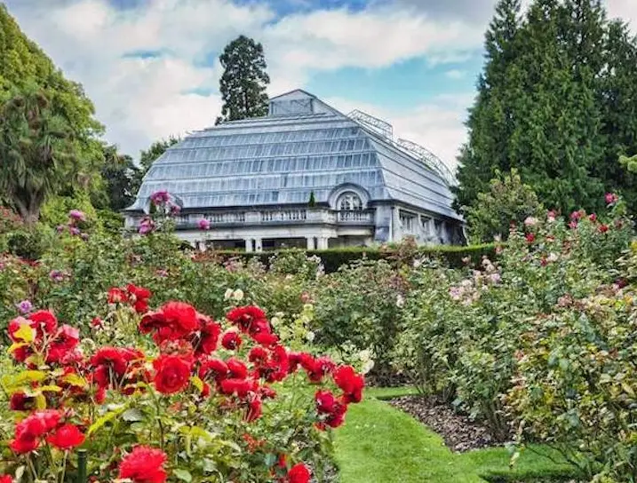 基督城景點全攻略：必訪清單、交通路線與在地體驗一次掌握