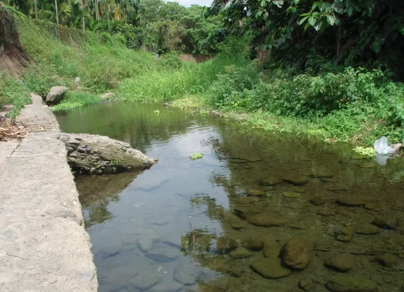 五溝水濕地生態 五溝水濕地生態