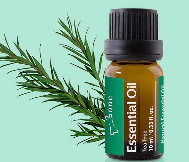 茶樹精油 傷口 茶樹精油 傷口