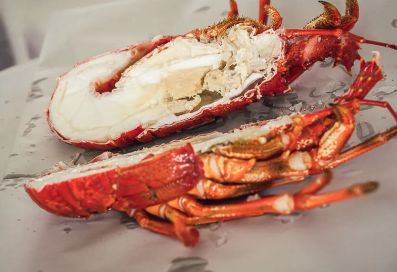 紐西蘭龍蝦 價格 紐西蘭龍蝦 價格