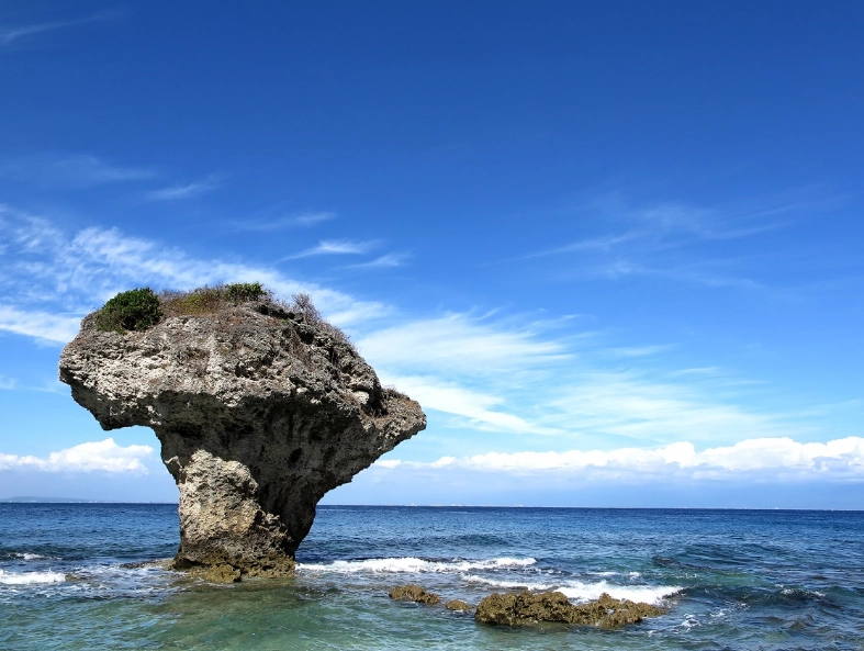 小琉球海龜 小琉球海龜