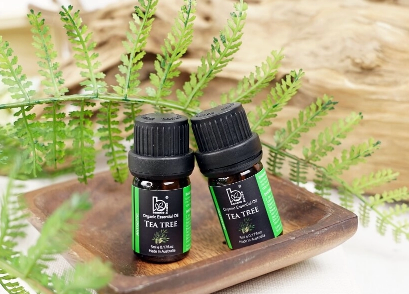 茶樹精油 傷口 茶樹精油 傷口